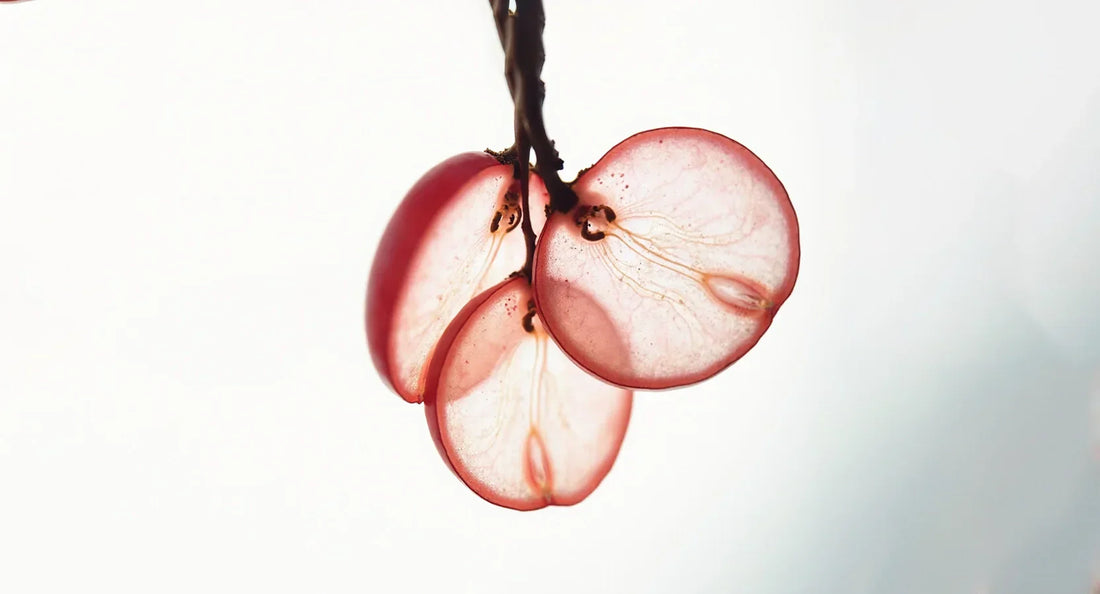 Vitis Vinifera Grape Extract for skin health